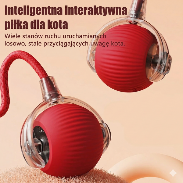 Automatyczna Zabawka dla Kota