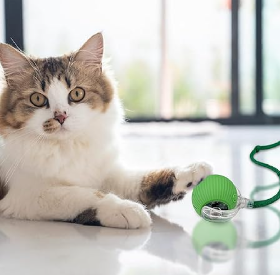 Screenshot 2026-03-03 124233.png