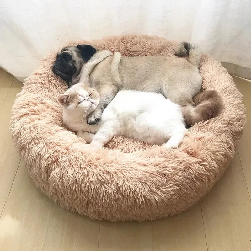 Cloud soft per Cani e Gatti